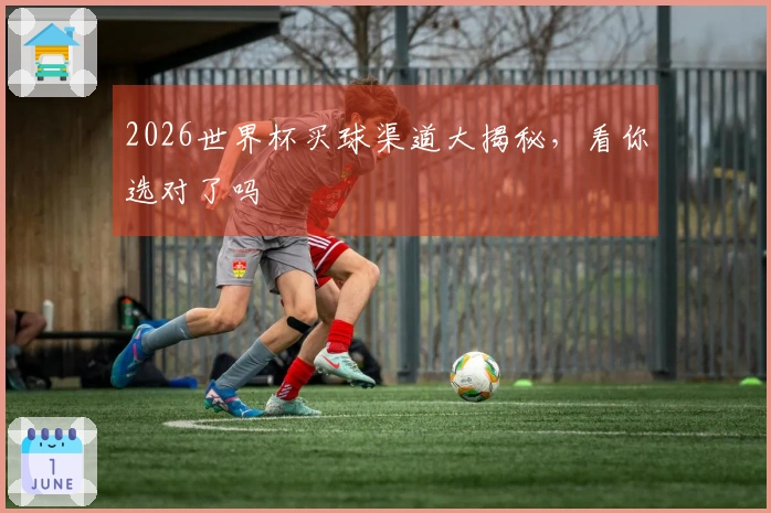 2026世界杯买球渠道大揭秘，看你选对了吗