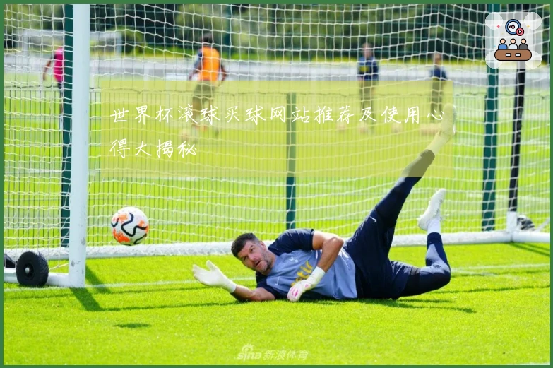 世界杯滚球买球网站推荐及使用心得大揭秘