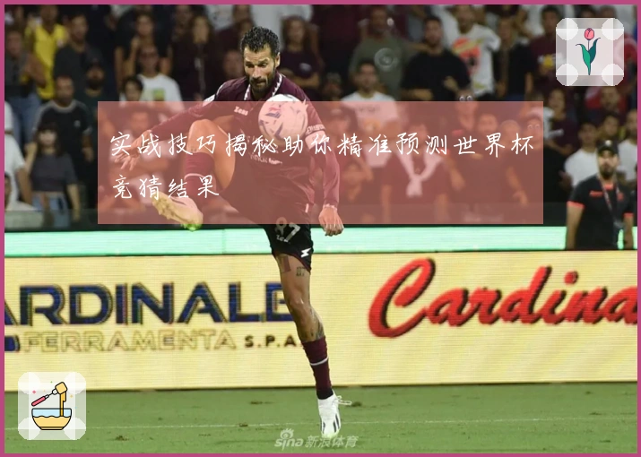 实战技巧揭秘助你精准预测世界杯竞猜结果