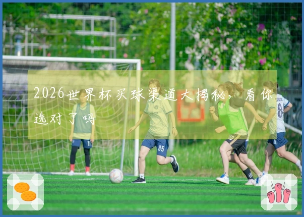 2026世界杯买球渠道大揭秘，看你选对了吗