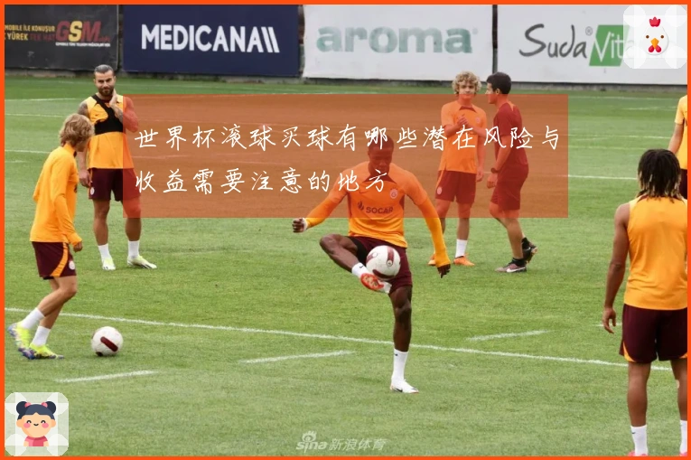 世界杯滚球买球有哪些潜在风险与收益需要注意的地方