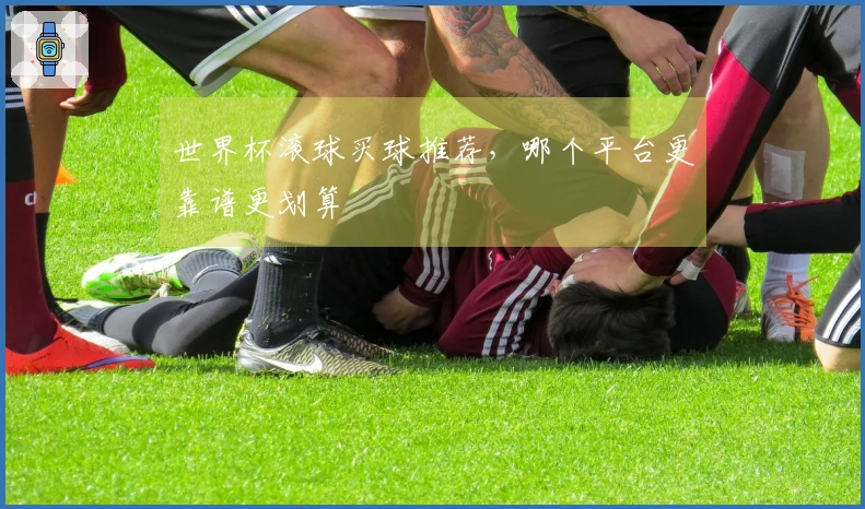 世界杯滚球买球推荐，哪个平台更靠谱更划算