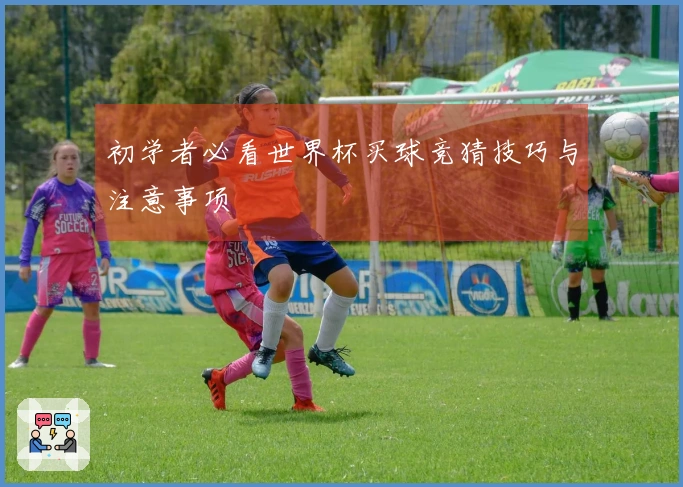 初学者必看世界杯买球竞猜技巧与注意事项