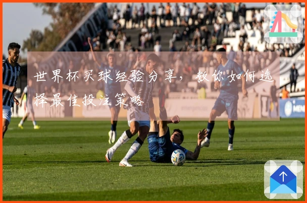 世界杯买球经验分享，教你如何选择最佳投注策略