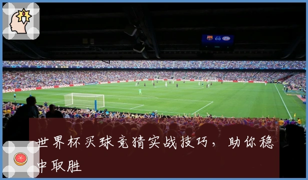 世界杯买球竞猜实战技巧,助你稳中取胜