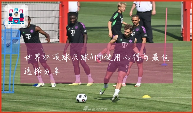 世界杯滚球买球App使用心得与最佳选择分享