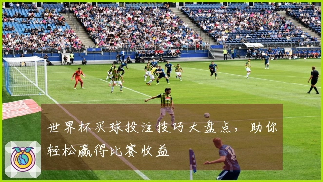 世界杯买球投注技巧大盘点，助你轻松赢得比赛收益