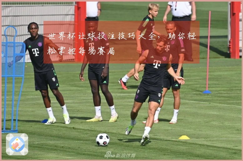 世界杯让球投注技巧大全，助你轻松掌控每场赛局