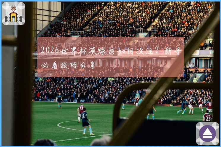 2026世界杯滚球该如何投注？新手必看技巧分享