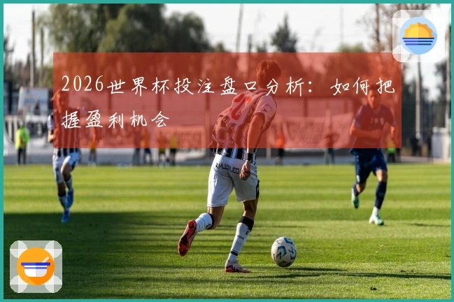 2026世界杯投注盘口分析:如何把握盈利机会