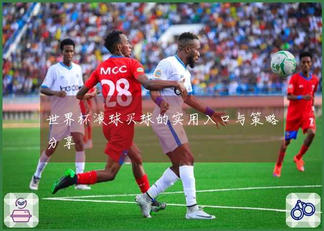 世界杯滚球买球的实用入口与策略分享