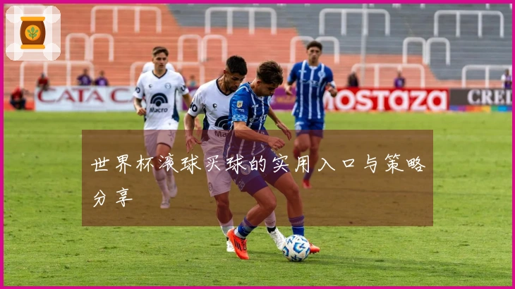 世界杯滚球买球的实用入口与策略分享