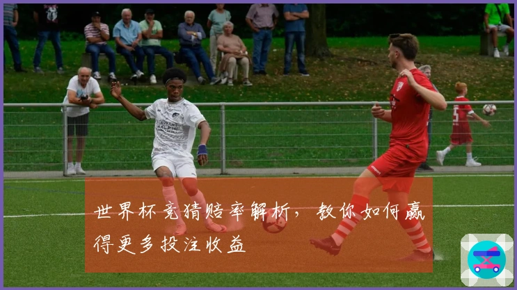 世界杯竞猜赔率解析，教你如何赢得更多投注收益