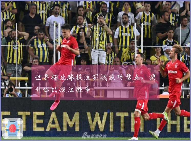 世界杯让球投注实战技巧盘点，提升你的投注胜率