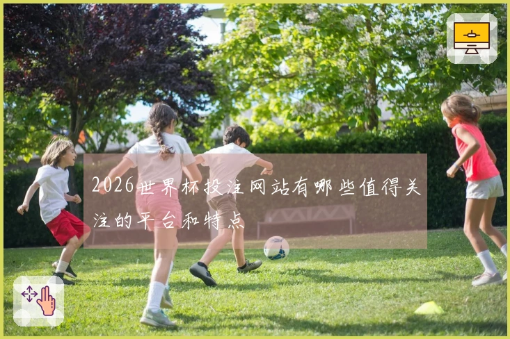 2026世界杯投注网站有哪些值得关注的平台和特点