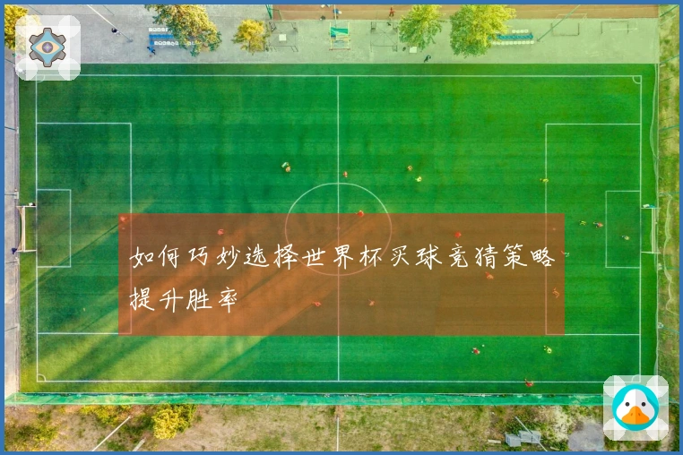 如何巧妙选择世界杯买球竞猜策略提升胜率