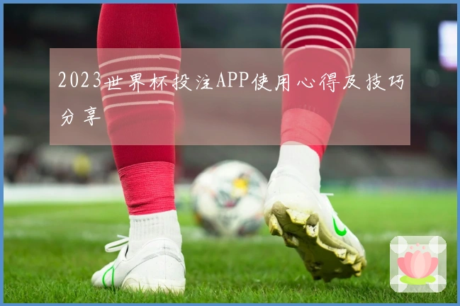 2023世界杯投注APP使用心得及技巧分享