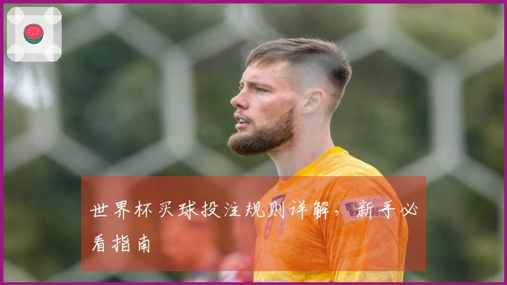 世界杯买球投注规则详解，新手必看指南