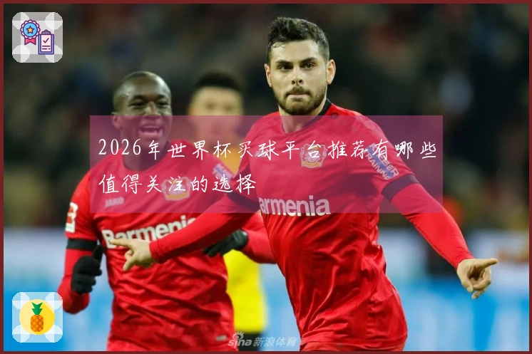 2026年世界杯买球平台推荐有哪些值得关注的选择