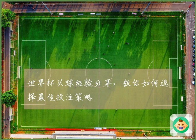 世界杯买球经验分享，教你如何选择最佳投注策略