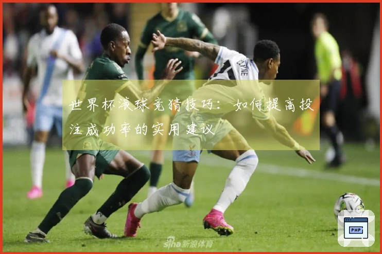 世界杯滚球竞猜技巧：如何提高投注成功率的实用建议