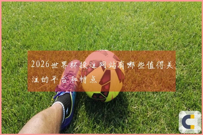 2026世界杯投注网站有哪些值得关注的平台和特点