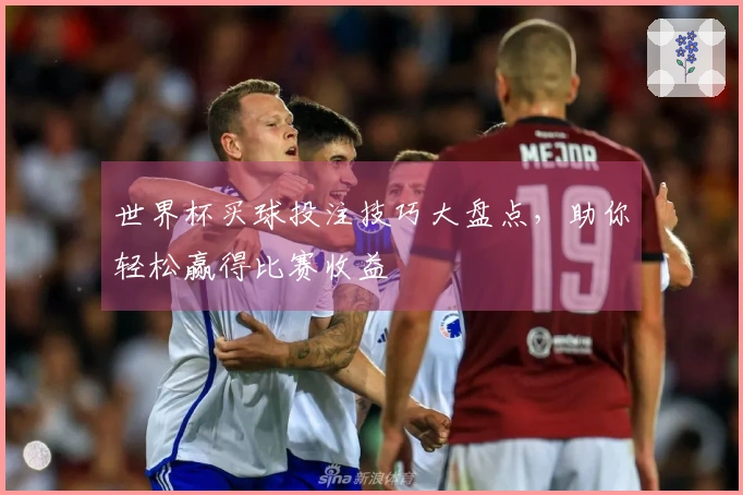 世界杯买球投注技巧大盘点,助你轻松赢得比赛收益