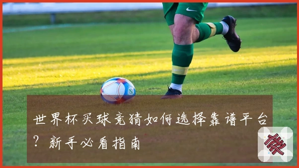 世界杯买球竞猜如何选择靠谱平台？新手必看指南